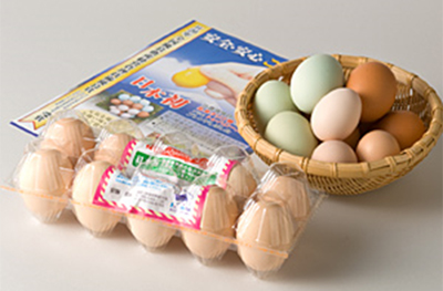 コンペ賞品