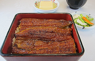 ランチ